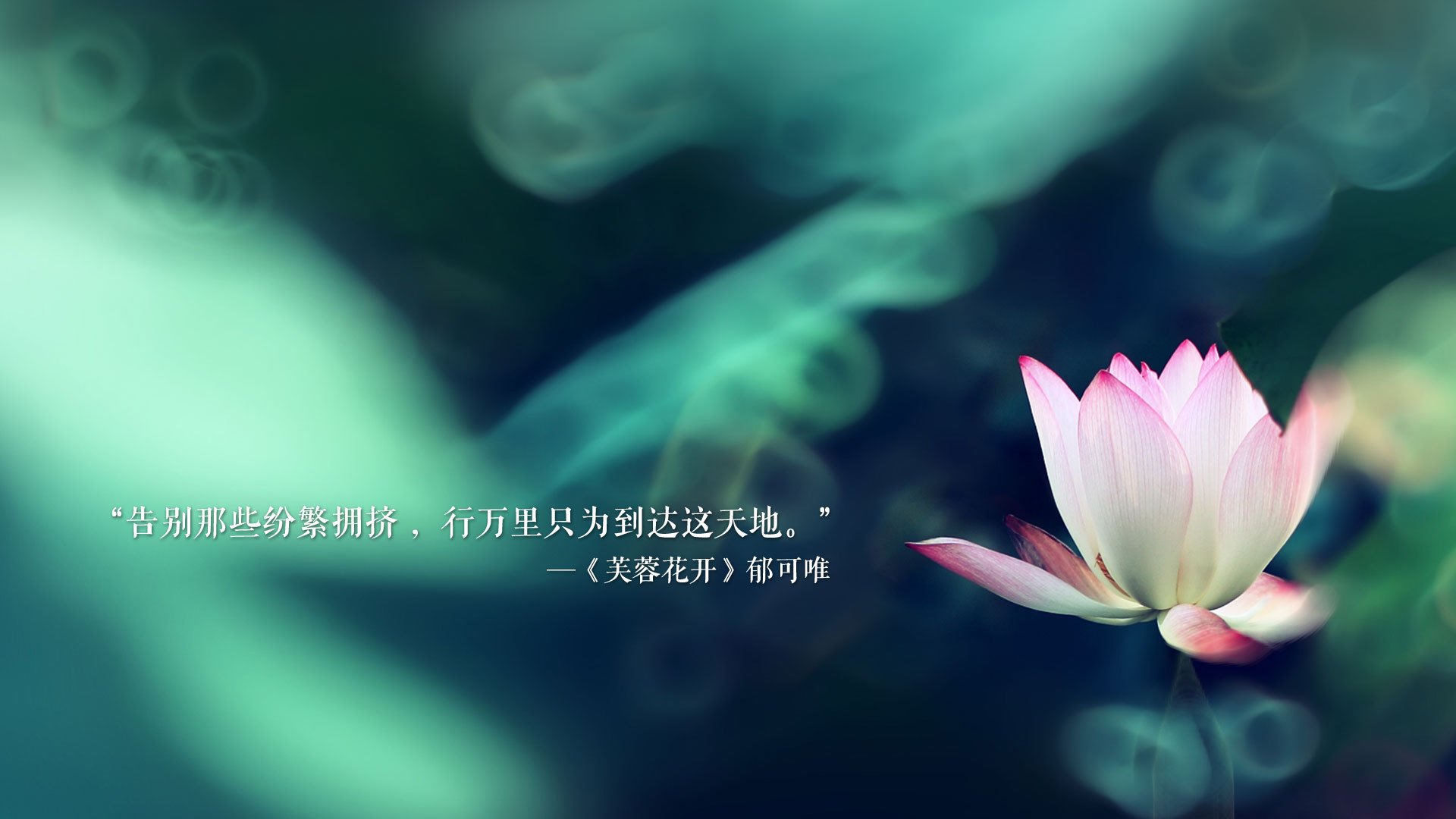 克鲁年轻球员表现抢眼，铁路军团持续抢分，克鲁 鲁