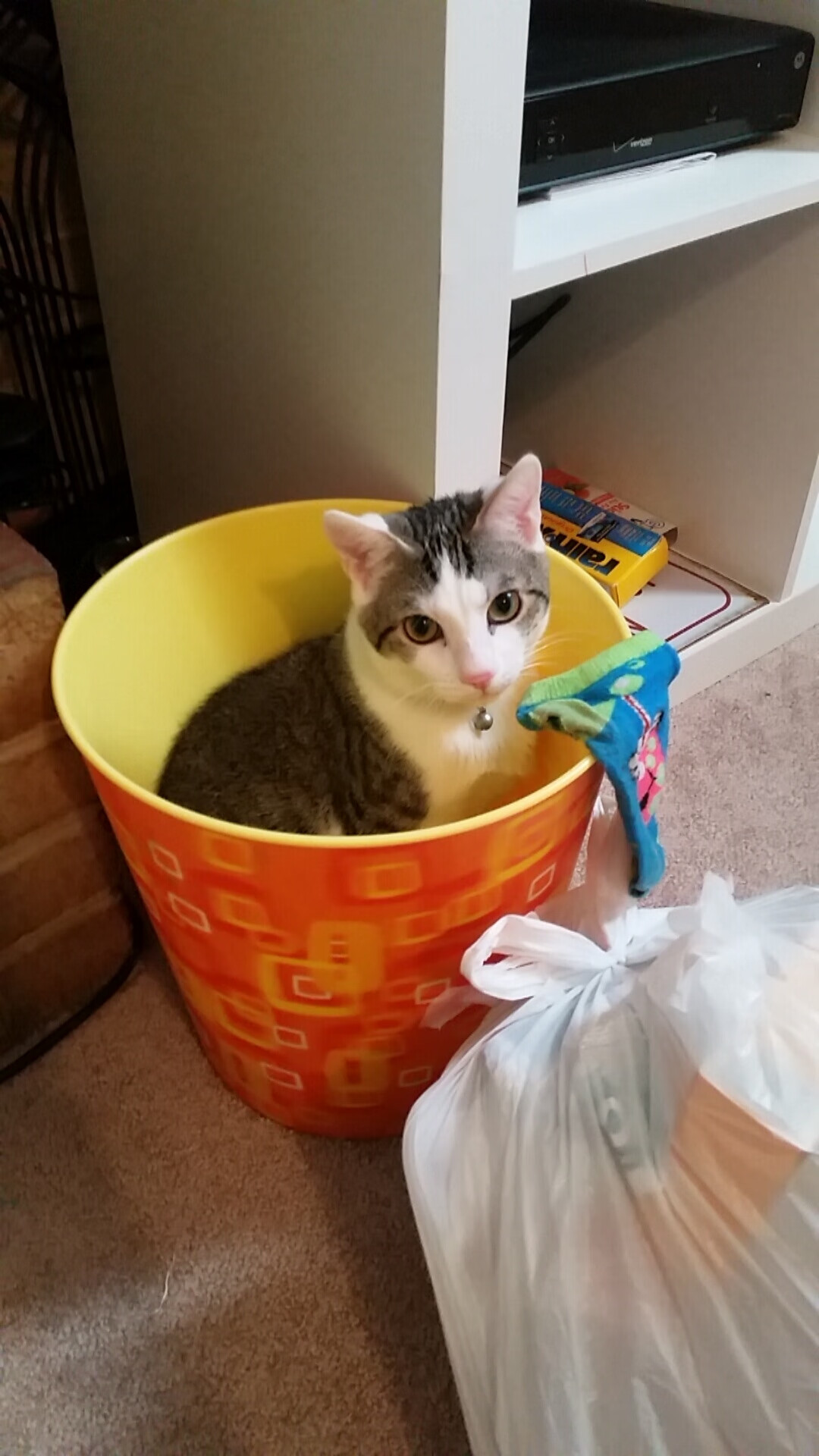 成绩背后：蛙泳转身距离的秘密，蛙泳转身慢动作示范