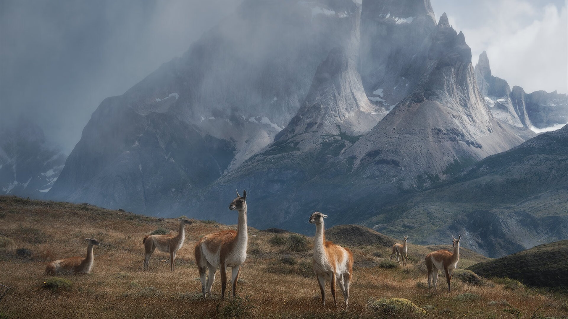 仰泳冲刺中立代表队A女将稳中有升,仰泳 2017
