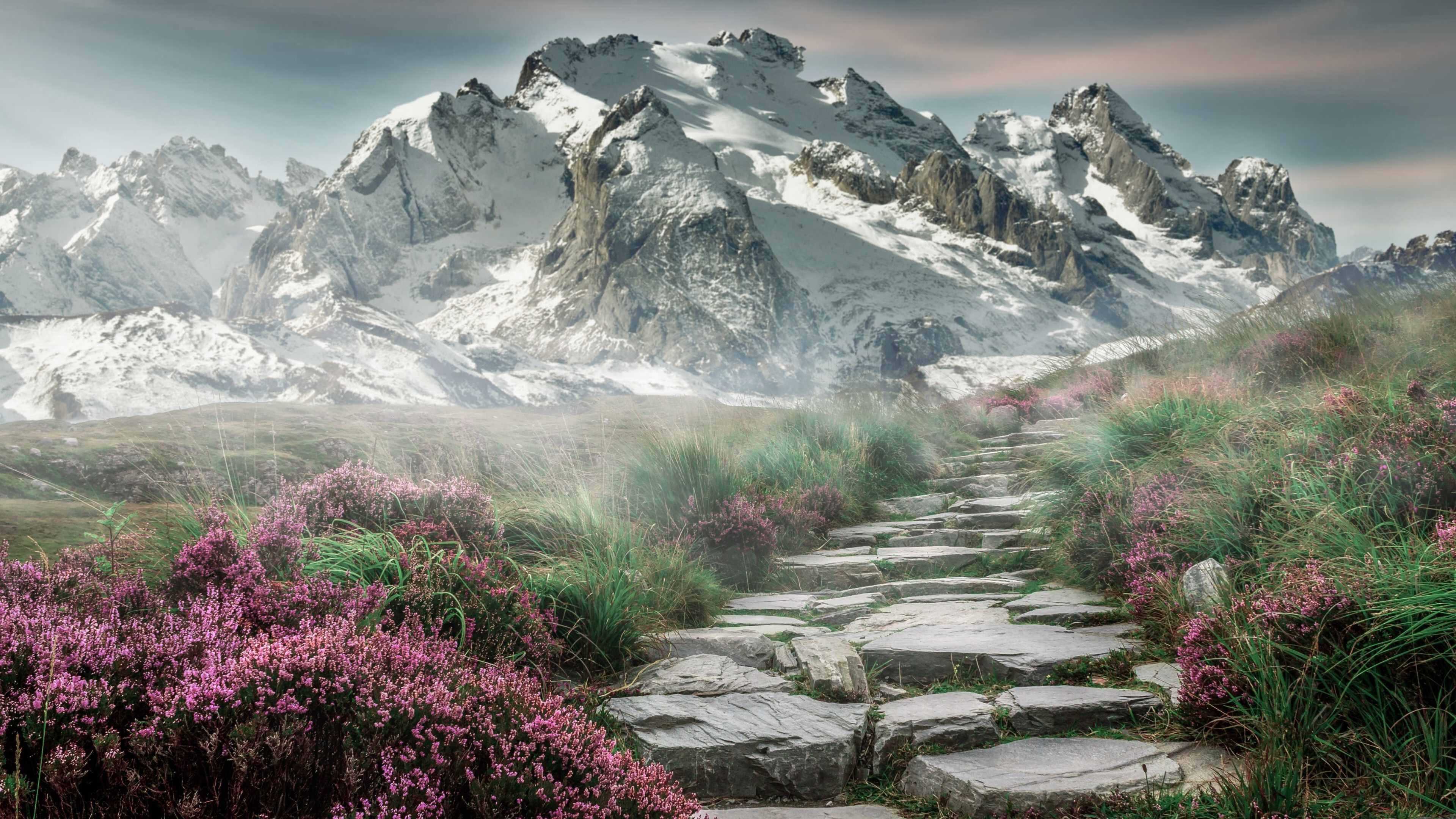 九游网页版入口-图穆亚的爆发力与出色的反击速度，成袋鼠队的致命武器，图阿vs穆勒