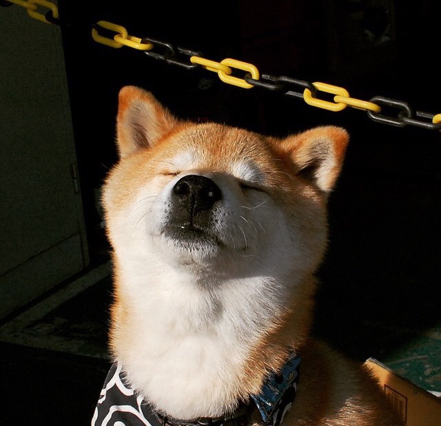 蛙泳比赛吉尔吉斯斯坦表现坚韧,吉尔吉斯斯坦游泳运动员