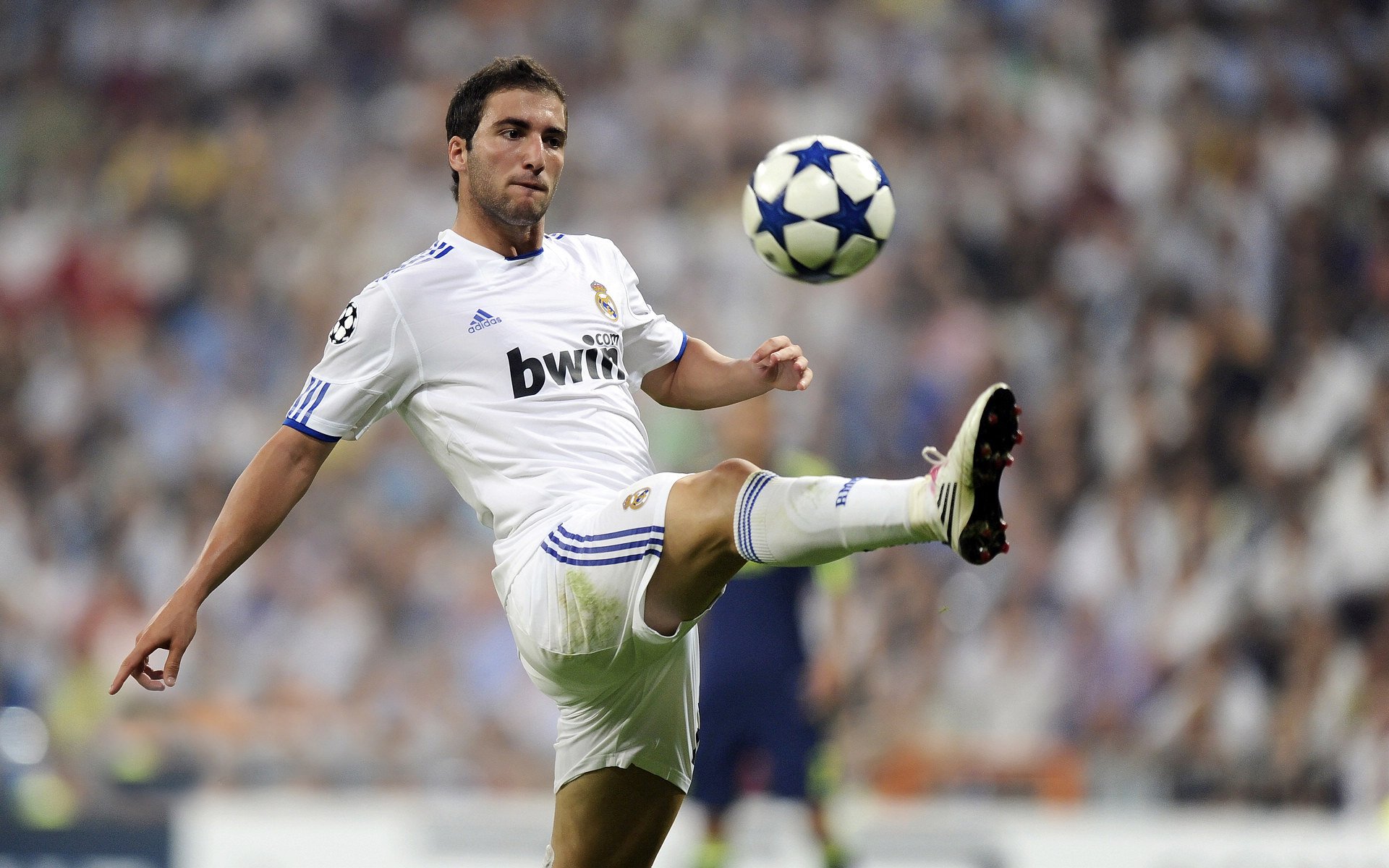 “德甲最后冲刺，竞争压力持续升高”，德甲最后一轮看点